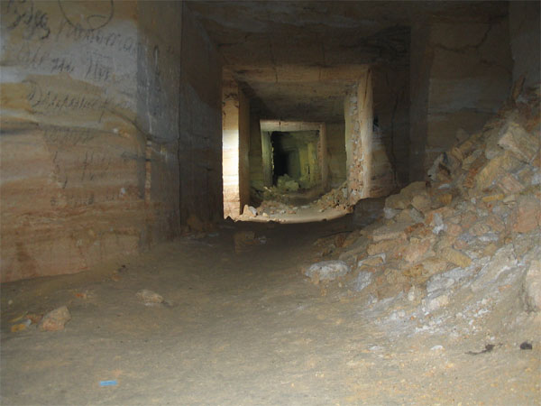 img5.jpg